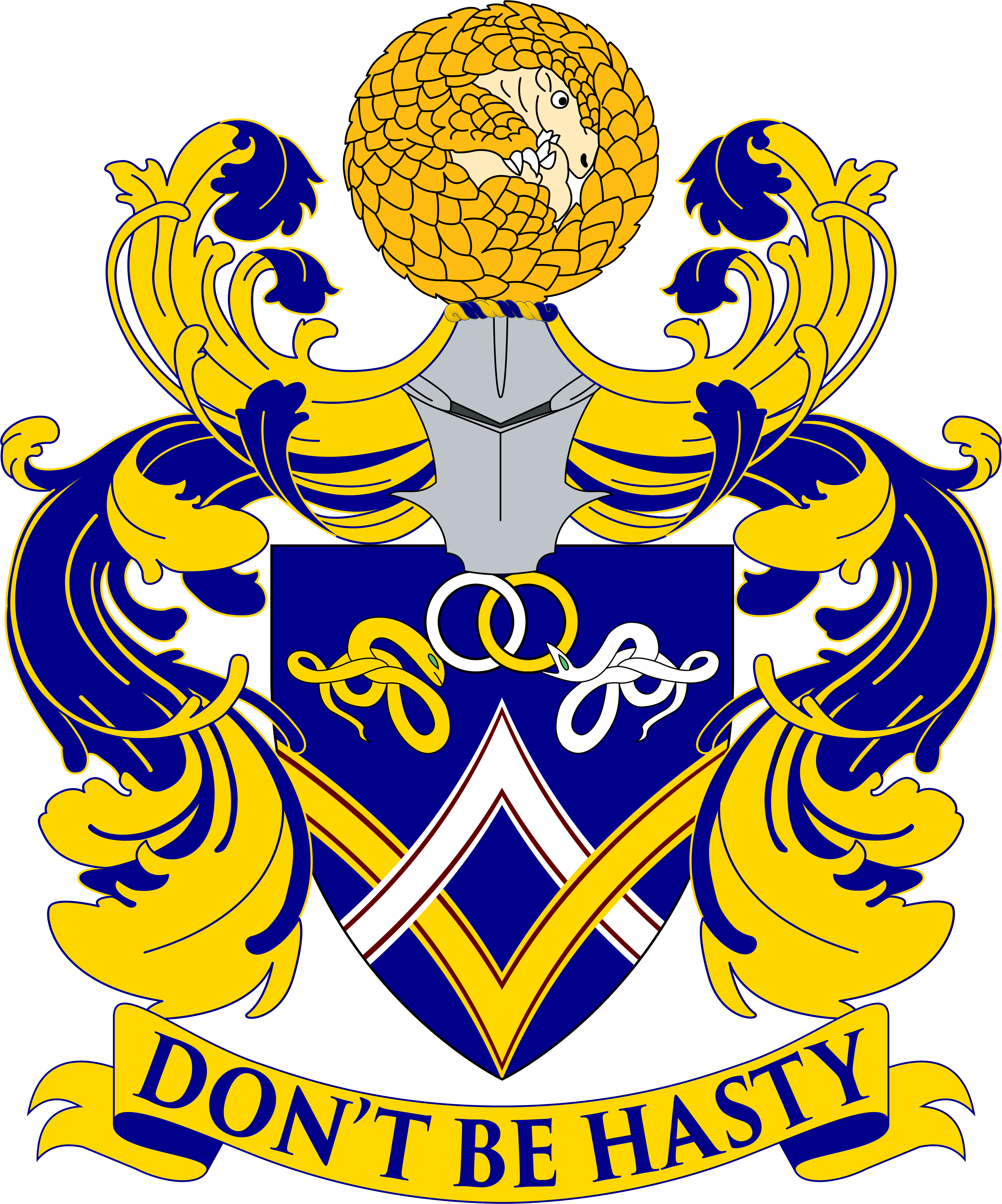 Ng Jia Jin coat of arms